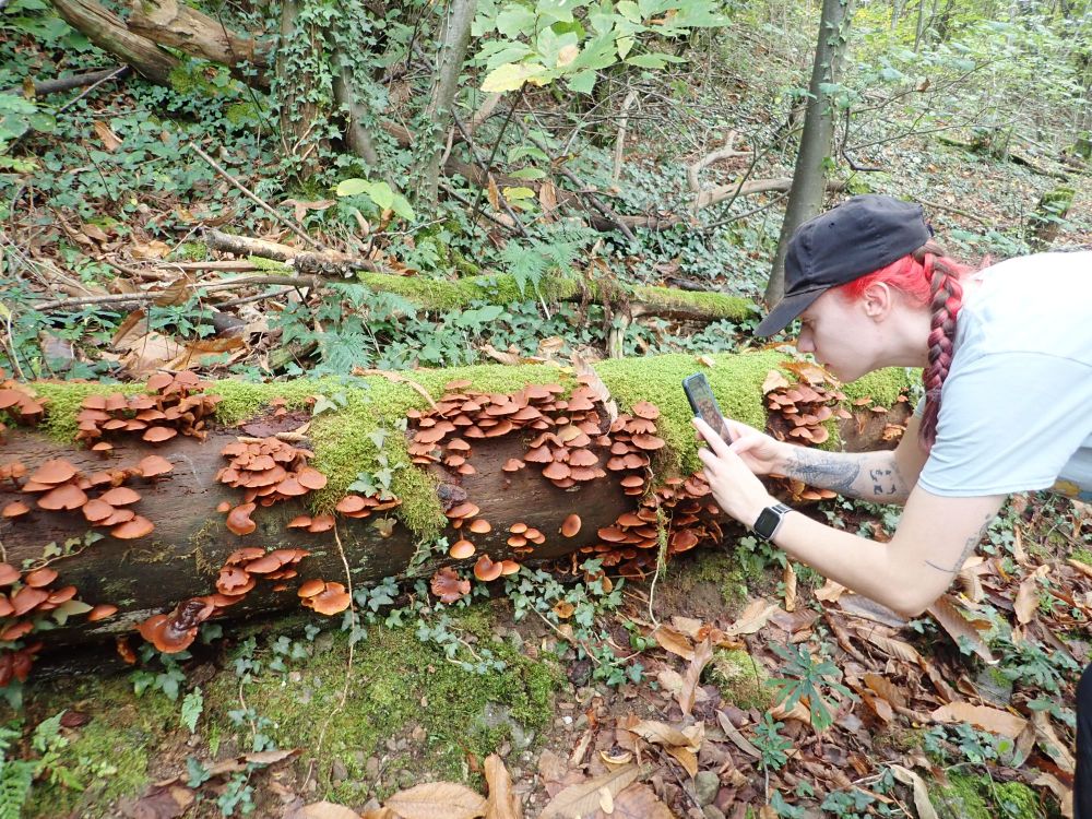 A student taking a photograph of a fallen trunk. The trunk is covered in lots of brown mushrooms. The student has vibrant pink hair in plaits and is wearing a baseball cap and t-shirt.