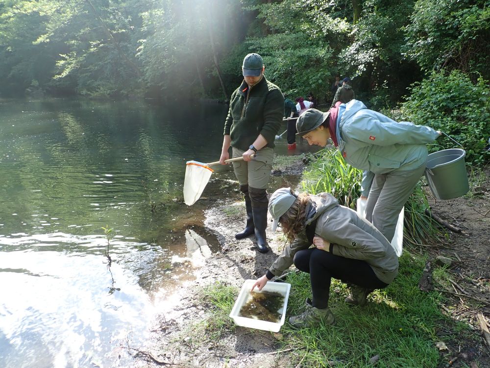 Students and staff on a field course. They are next to a river, examining samples captured by kick sampling, and placed in a white tray on the ground.