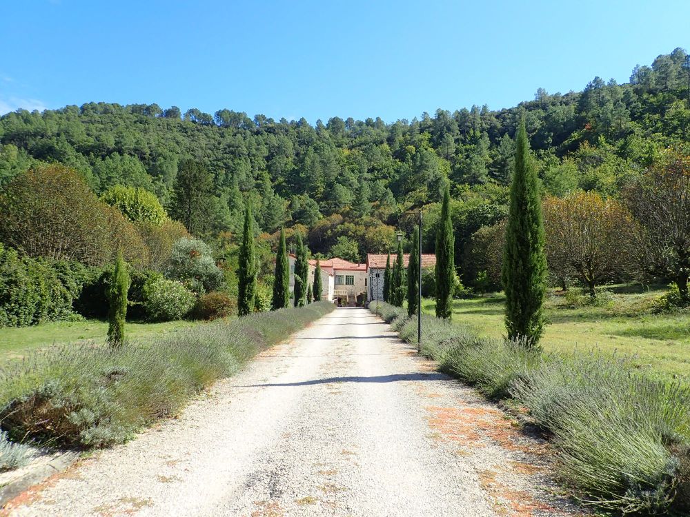 The Château du Fraissinet in autumn. There is a long gravel drive leading down to a large building. The borders of the drive are lined with lavender and small cypress trees. In the background there is a hill covered in woodland which is just starting to show the signs of autumn turning the leaves from green to brown.