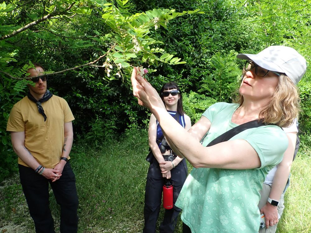 A group of people examining the flowers on a tree.