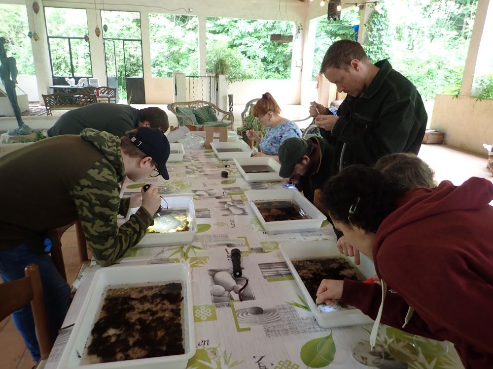 Staff and students examining samples in white trays in a covered terrace.