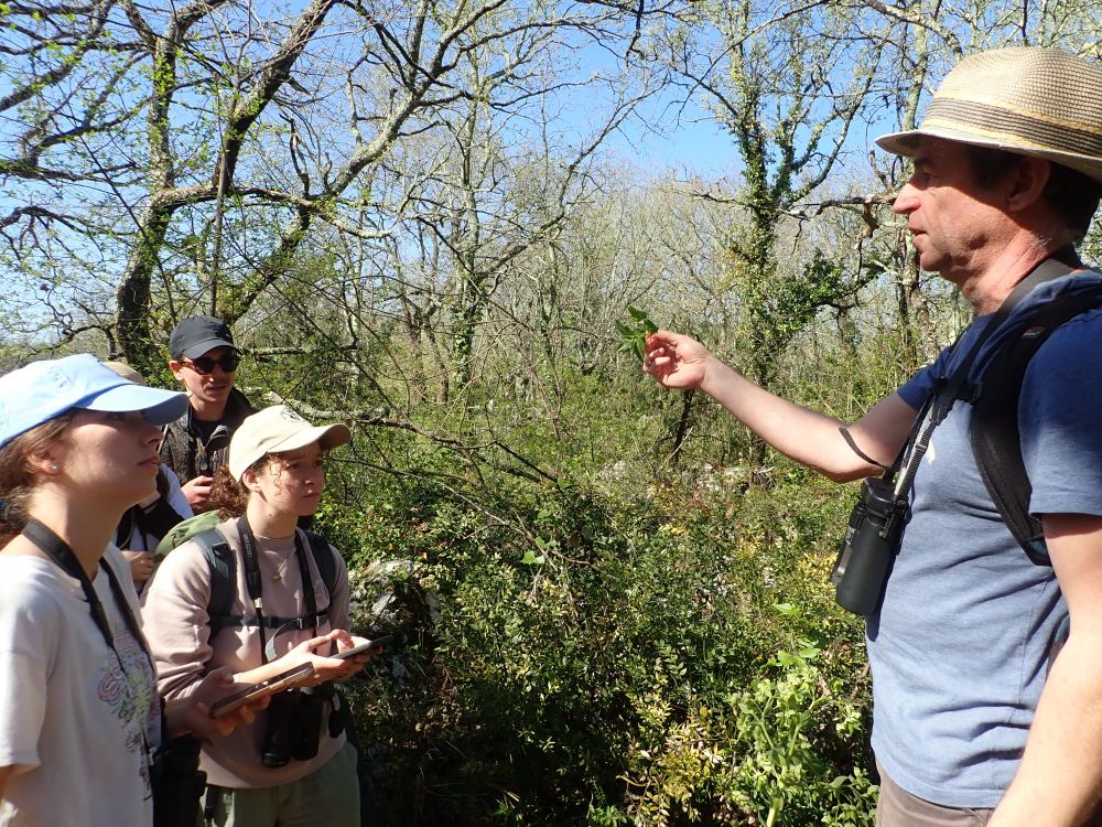 Fabrizio holding out a plant so that listening students can understand its features. Three students stand to the side, listening.