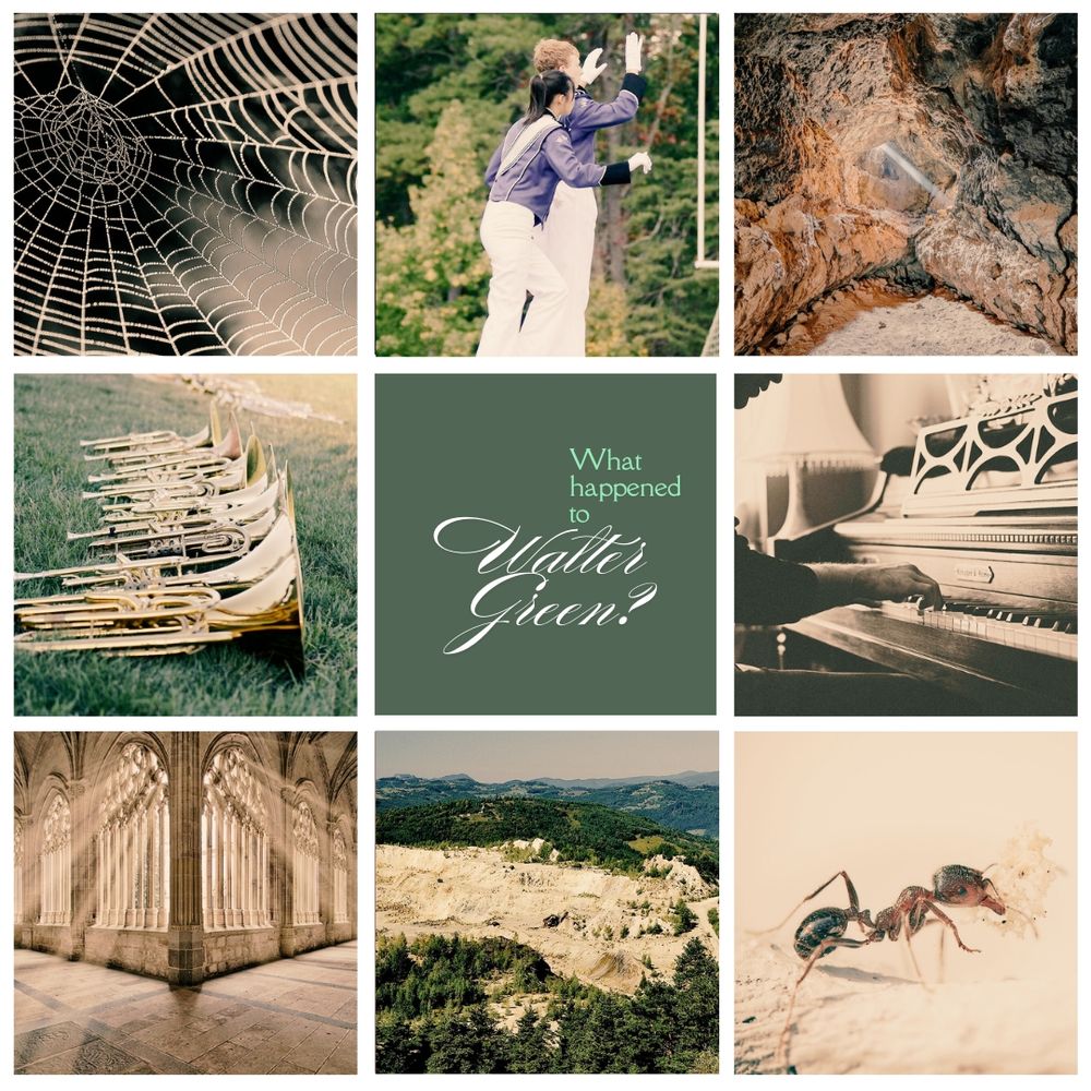 A moodboard depicting a spiderweb, two drum majors with a woodsy background, the rocky insides of a cave with a single beam of sunlight breaking in, a row of mellophones in the grass, pale hands playing a piano, sun rays coming through a hallway with pretty Gothic architecture, a barren strip of land between trees in the mountains showing an asbestos mining operation, and a red imported fire ant holding a white thing.