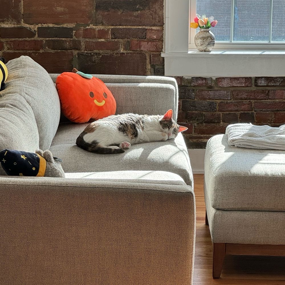 a calico cat sleeping on a gray couch with cute pillows. an exposed brick wall with a window are in the background