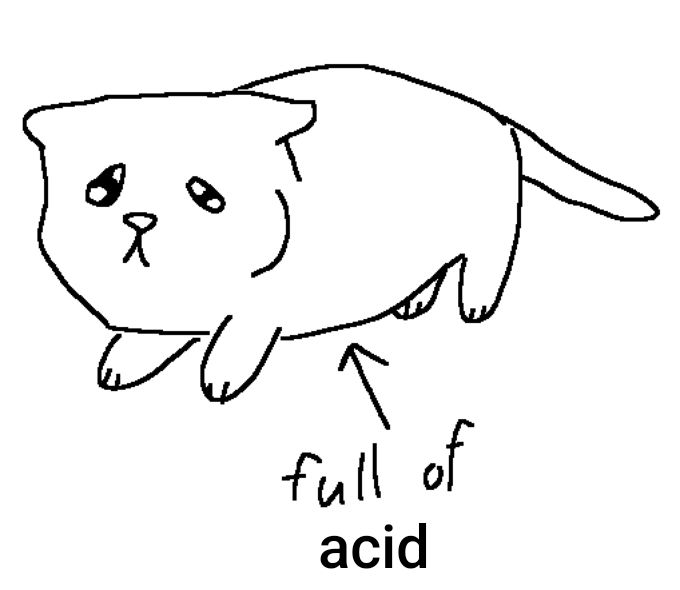 ms paint drawing of a round-bellied little kitten. originally the text on this meme says "full of soup" but I changed it to "full of acid"