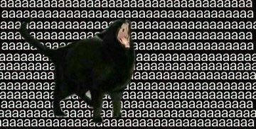 aaaaaaaaaaaaaaaaaaaaaaaaa