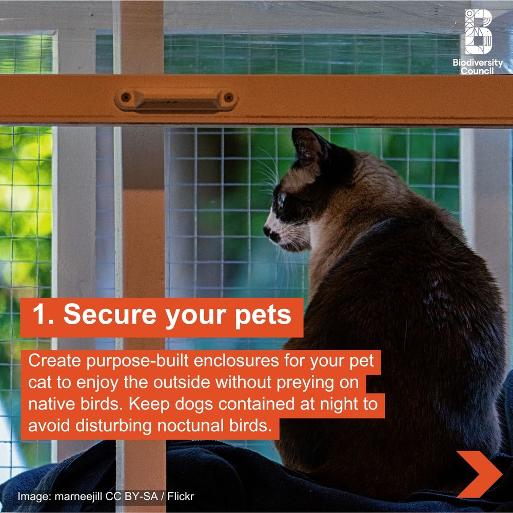 A cat sits in an outdoor enclosure. Text says "Secure your pets".