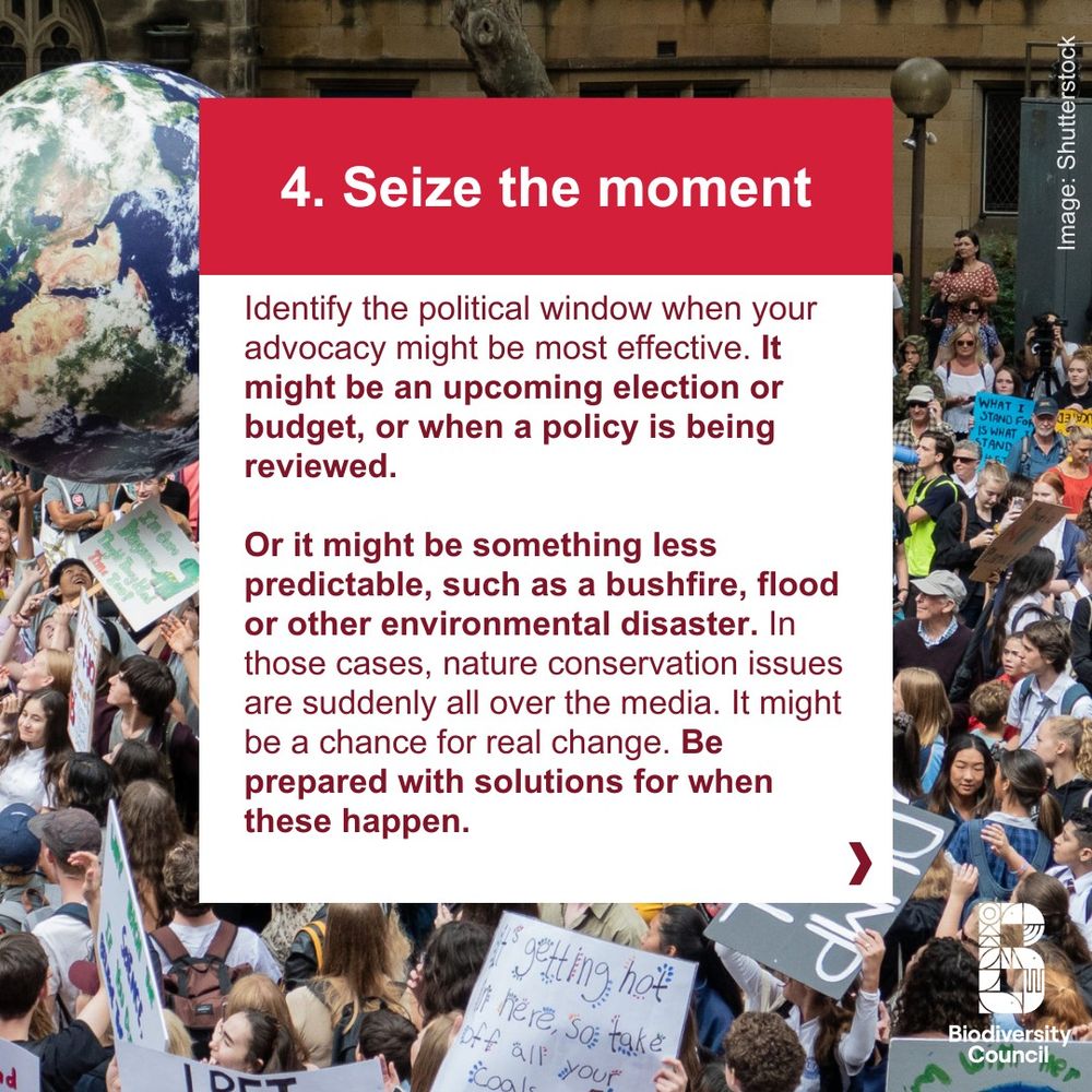 A crowd of protesters have gathered in a street. Text over the image says: 4. Seize the moment. Identify the political window when your advocacy might be most effective. It might be an upcoming election or budget, or when a policy is being reviewed.

Or it might be something less predictable, such as a bushfire, flood or other environmental disaster. In those cases, nature conservation issues are suddenly all over the media. It might be a chance for real change. Be prepared with solutions for when these happen.