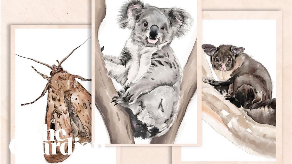 Last chance: the extinction crisis this election is ignoring