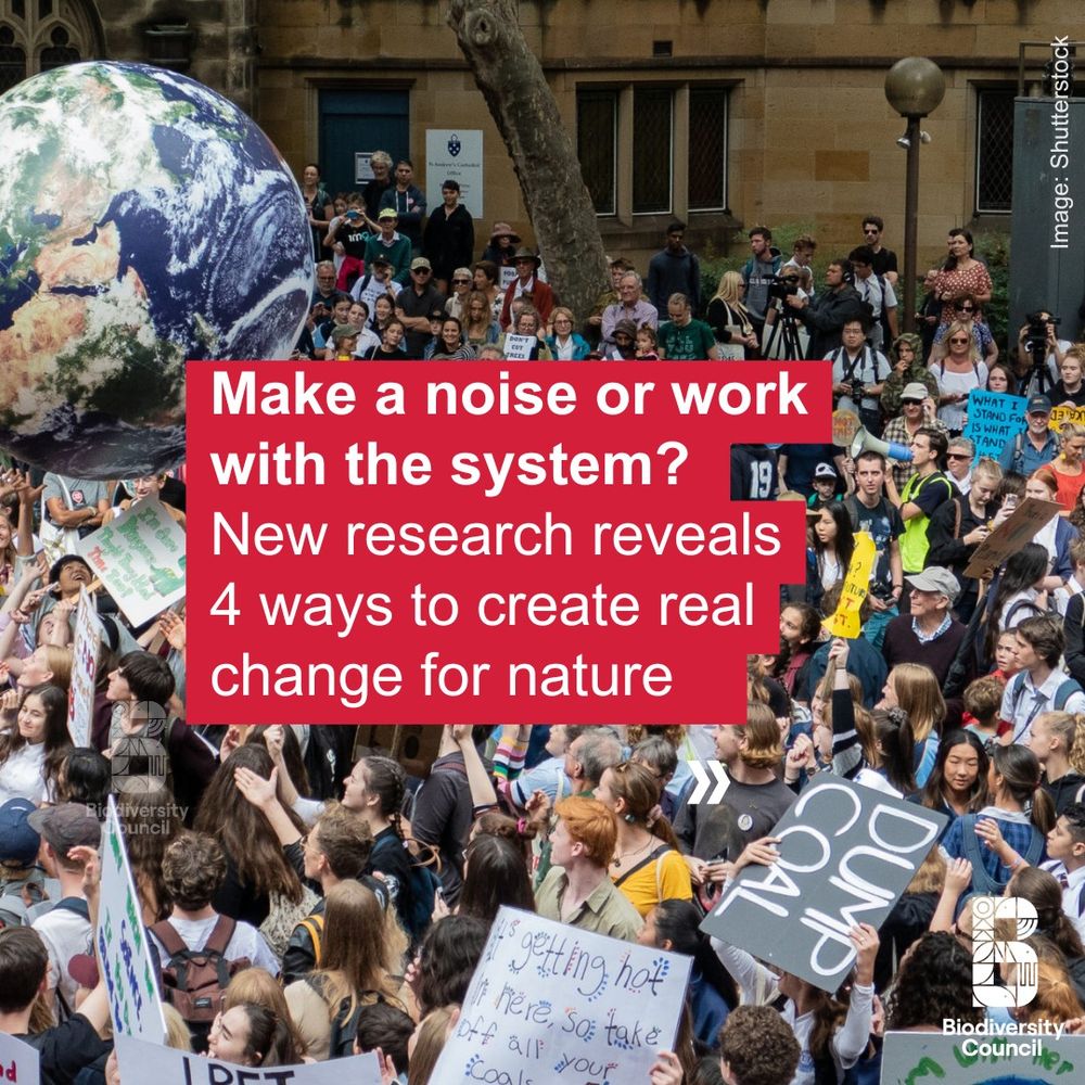 A crowd of protesters have gathered in a street. Text over the image says "Make a noise or work with the system? New research reveals 4 ways to create real change for nature."