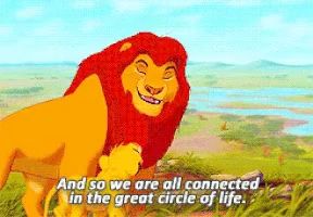 a cartoon of a lion with the words " and so we are all connected in the great circle of life " below it