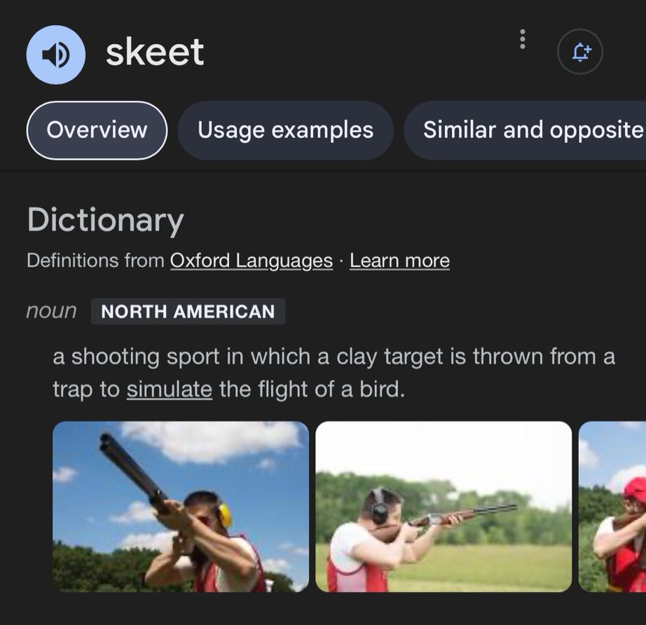 The dictionary definition of the word “skeet” a shooting sport in which a clay target is thrown from a trap to simulate the flight of a bird. 