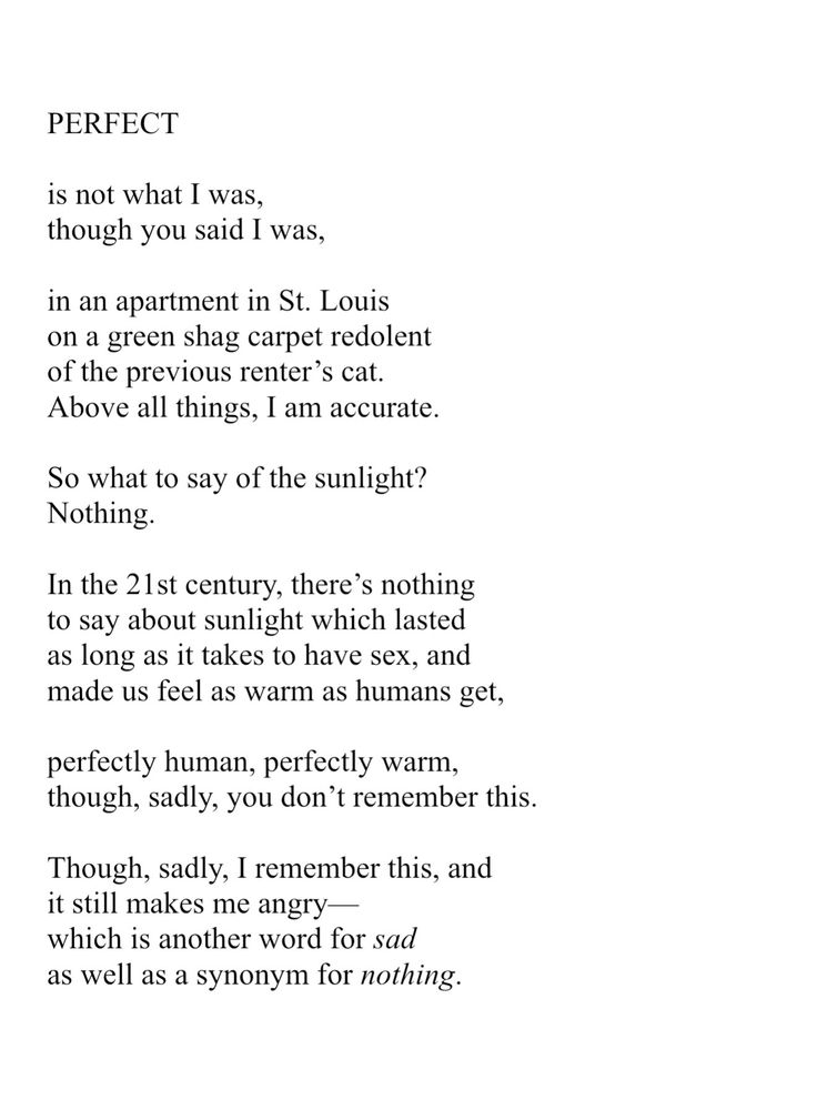 PERFECT is not what I was, though you said I was, in an apartment in St. Louis on a green shag carpet redolent of the previous renter’s cat. Above all things, I am accurate. So what to say of the sunlight? Nothing. In the 21st century, there’s nothing to say about sunlight which lasted as long as it takes to have sex, and made us feel as warm as humans get, perfectly human, perfectly warm, though, sadly, you don’t remember this. Though, sadly, I remember this, and it still makes me angry—which is another word for sad as well as a synonym for nothing.