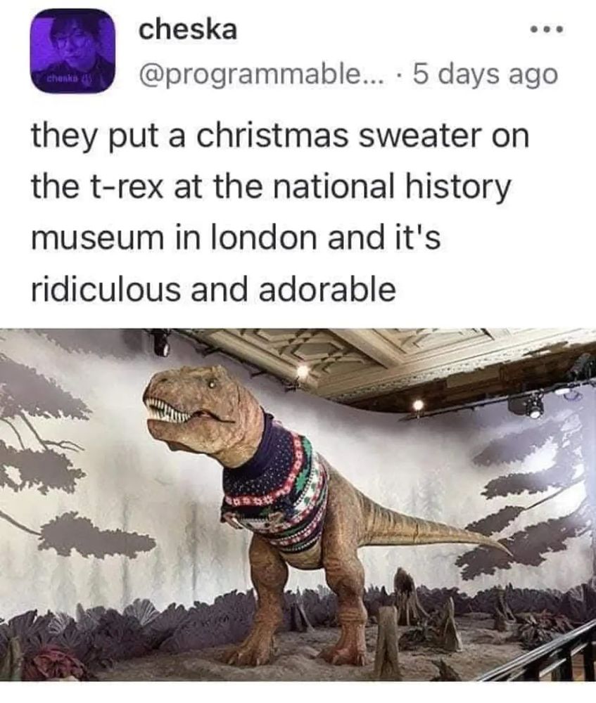 Screenshot: they put Christmas sweater on the t-rex at the national history museum in London and it's ridiculous and adorable