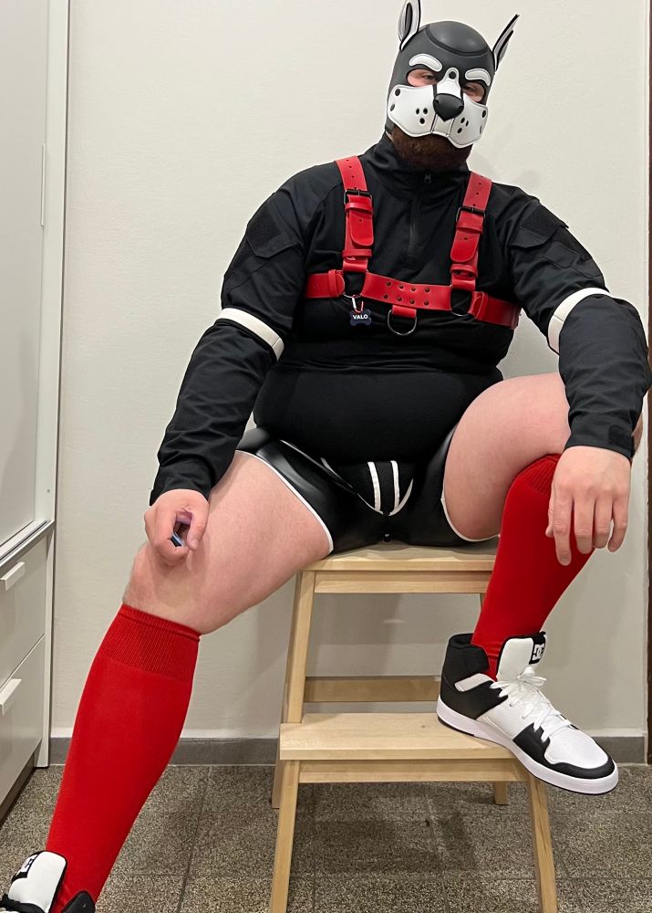 Dumb doggo sitting, thinking he’s kinda hot