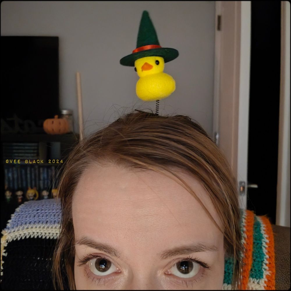 My head from the eyes up. A yellow wiggly duck with a green witches hat on a spring secured in my hair.
Unimportant stuff in the background.