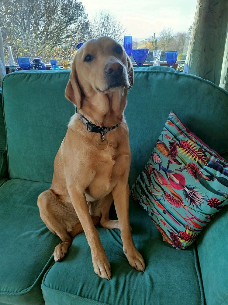 The handsome 'Donny'.