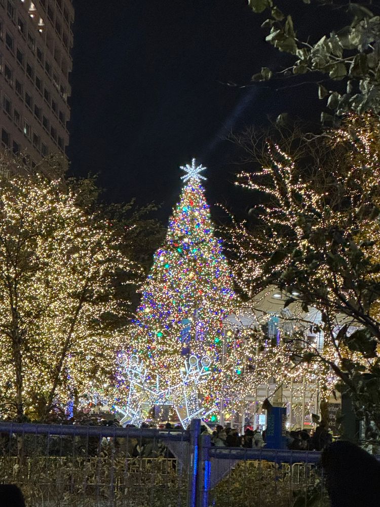 A tall Christmas tree covered in colorful lights stands in a park at night, topped with a glowing star, surrounded by trees wrapped in white string lights and a crowd of people at its base.