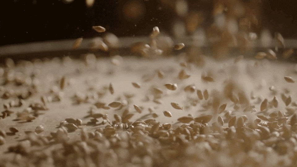 Sesame seeda falling down onto a flat ridge-bounded surface. Looks a bit like popping corn.