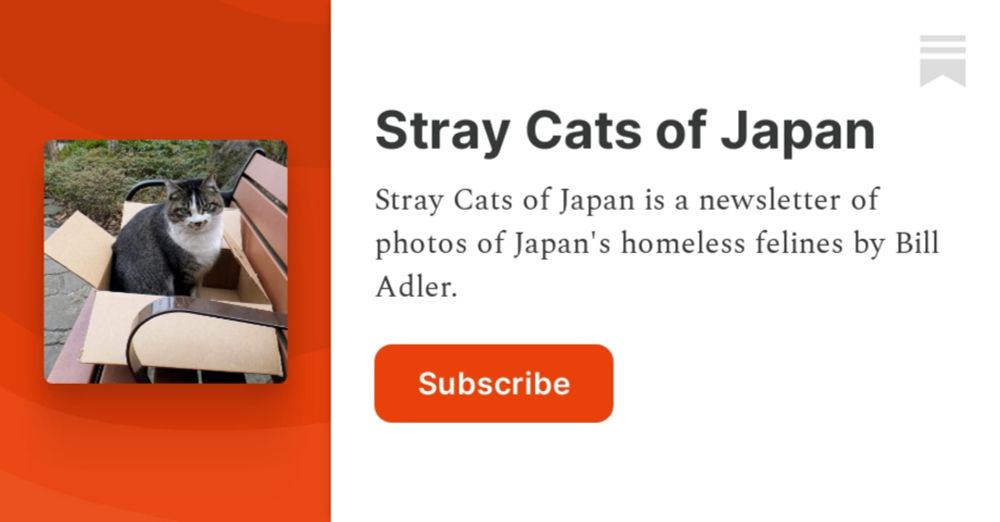 Stray Cats of Japan | Bill Adler | Substack