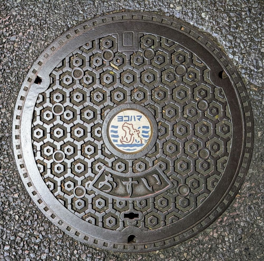 A Yokohama manhole cover with a hippopotamus on it. 