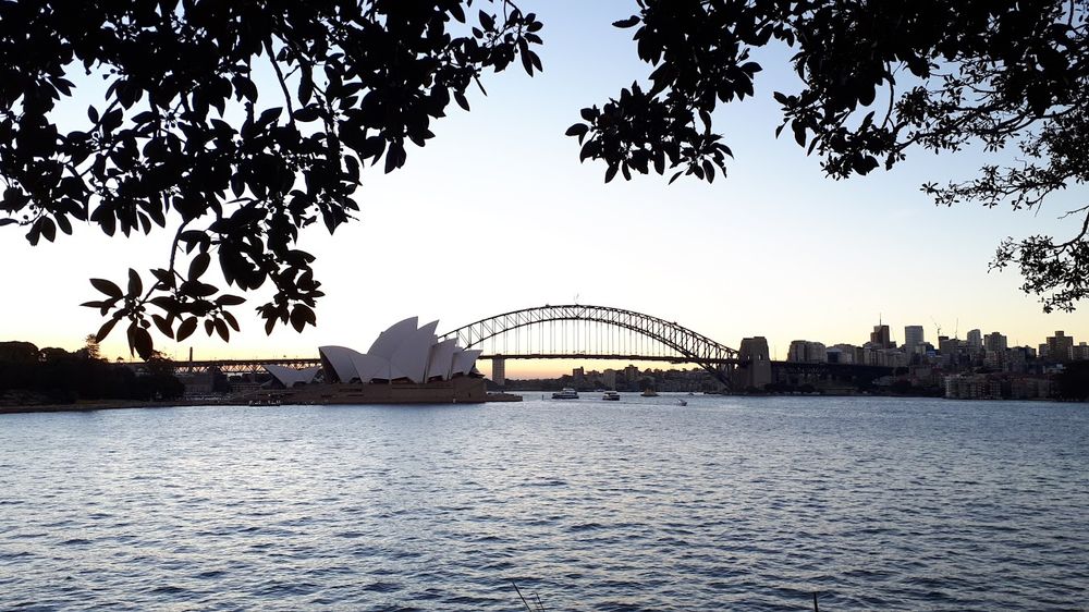 Photo of the Sydney Opera House and Harbour Bridge, framed by mangrove branches.