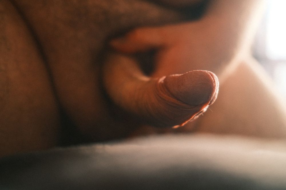 A gay male bear presents his large, upwardly-curved, uncut cock to the viewer. The viewing angle is head on, with the tip of his cock in focus and highlighted by the light of a nearby window.