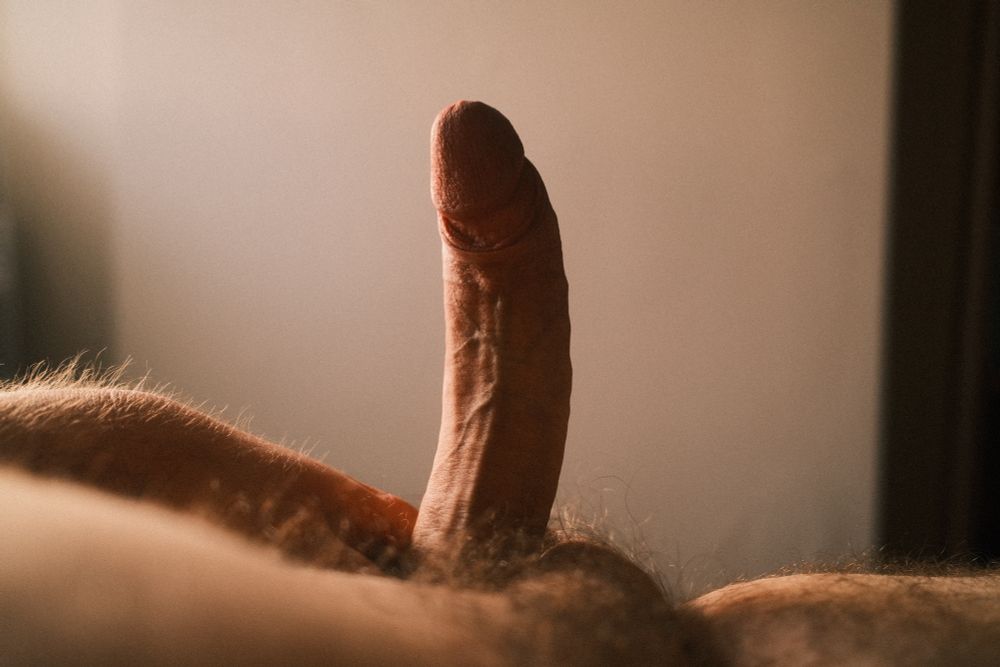 An image depicting a big gay male bear's large, uncut and upwardly curved cock. The light is hitting it from the left side, creating contrasting shadows on the other side. The lighting accentuates not just the veins of the cock, but also the hairiness of the bear in the foreground.