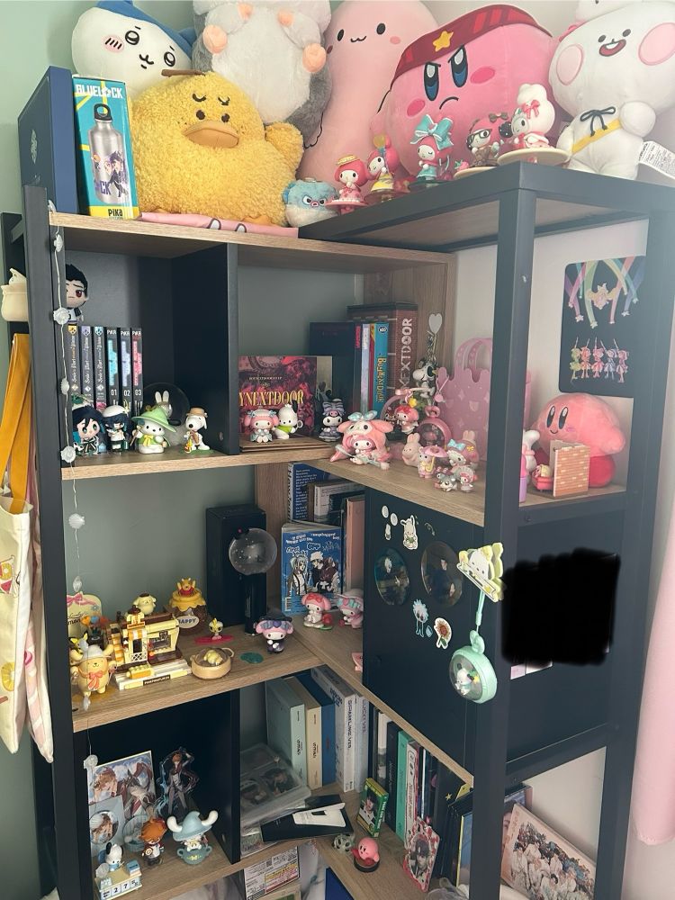 shelf with a bunch of goodies (kpop,plushies,figurines,sanrio etc..)