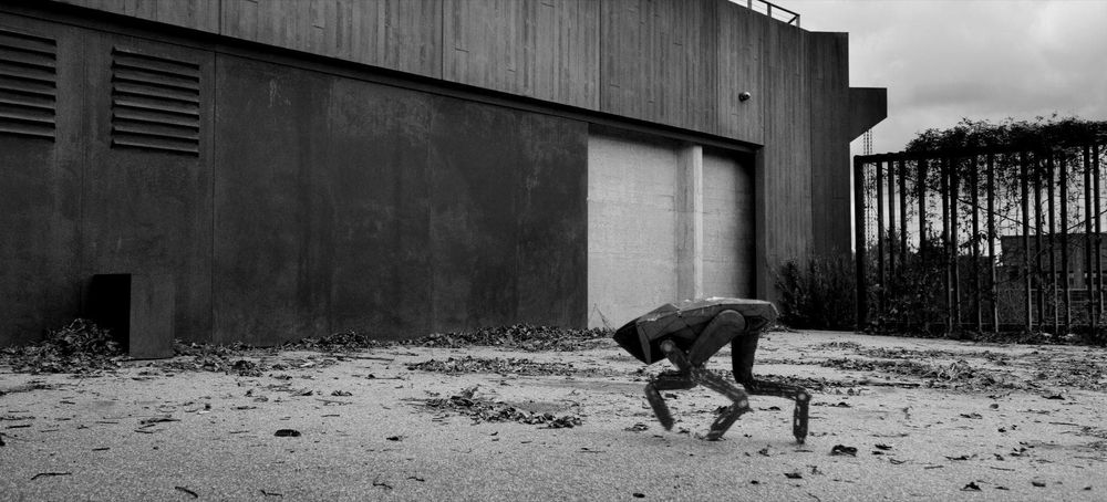 A still from the Black Mirror episode Metalhead, featuring the horrible killer robot sentry next to a warehouse.