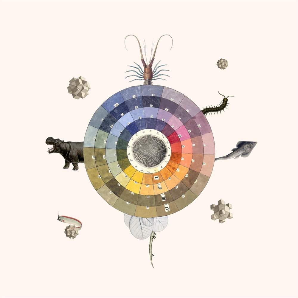 rainbow graphic with drawings of various species