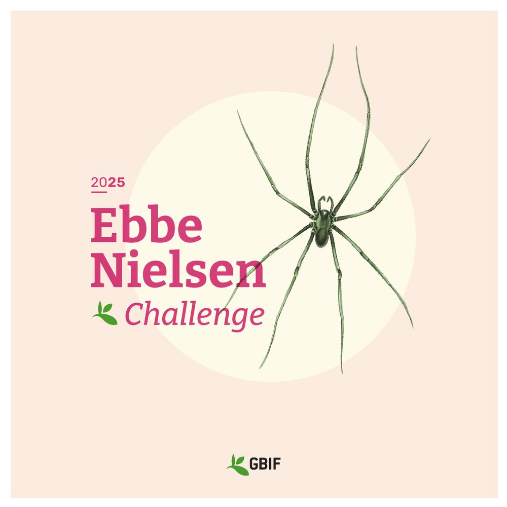 Drawing of a spider with the text 2025 ebbe nielsen challenge