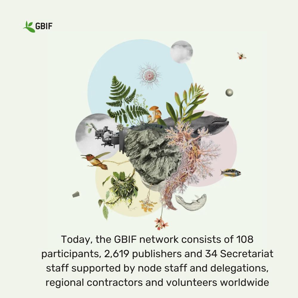 green collage with biological drawings and black text at the bottom