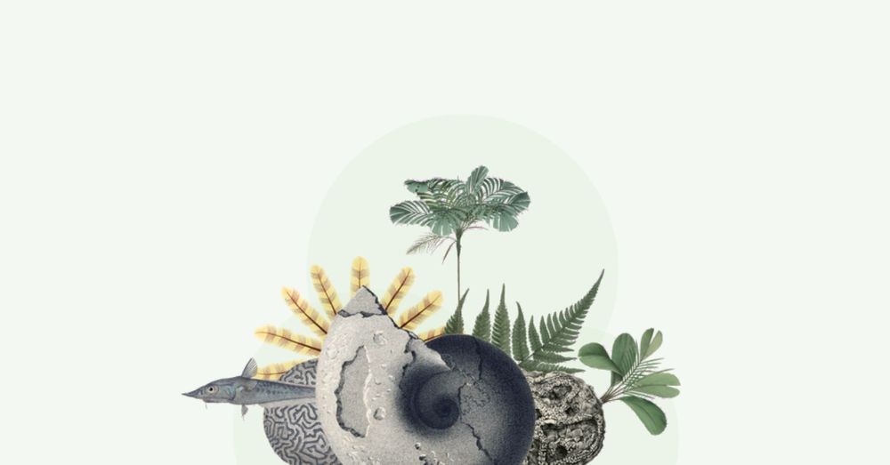 green graphic with drawings of fossils, plants and animals