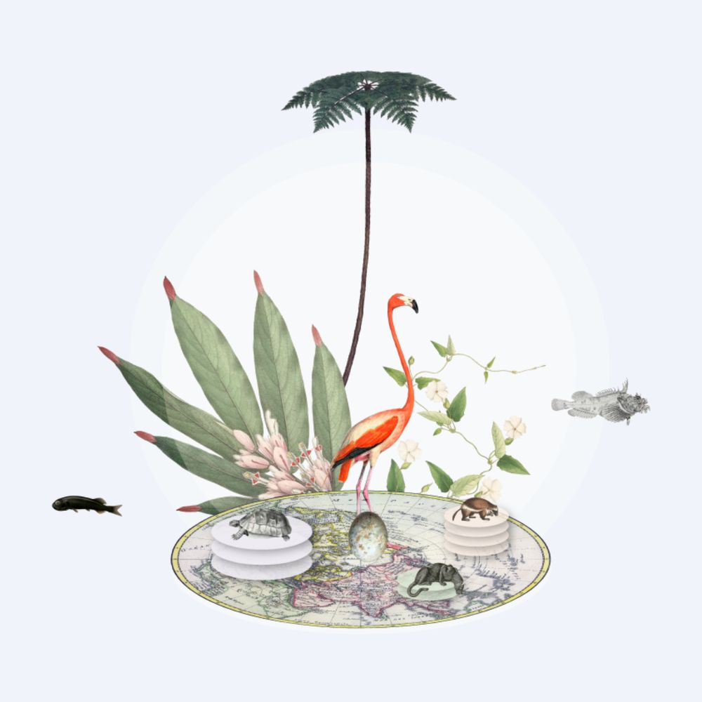 blue graphic depicting various biological drawings including a flamingo, a tree, a map of the world and fish