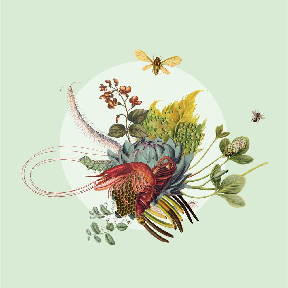 green background with a collage of agrobiodiversity relevant species in the centre