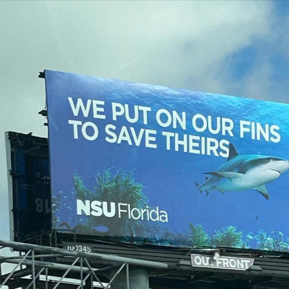 David Shiffman on Instagram: "#SharksNearMe on the ride to the airport home"