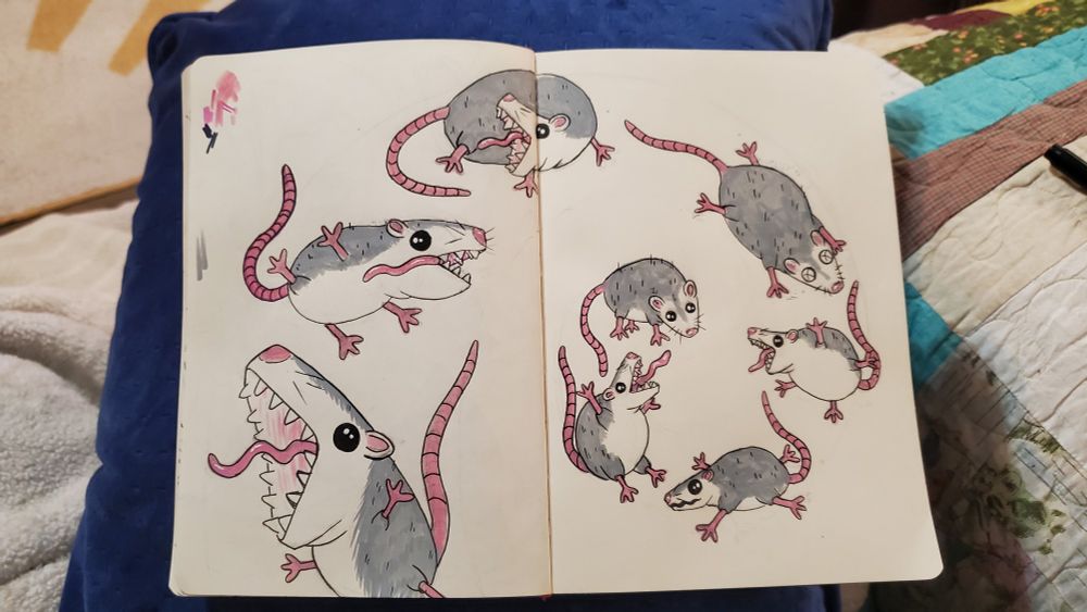 The image is a sketchbook page with cartoon possums spiraling off into the distance.  