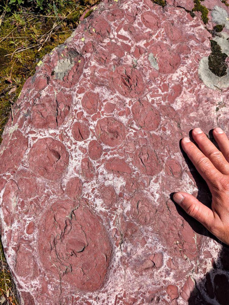 A rock made of big red (fine grained) dots surrounded by white (sandy) quartzite