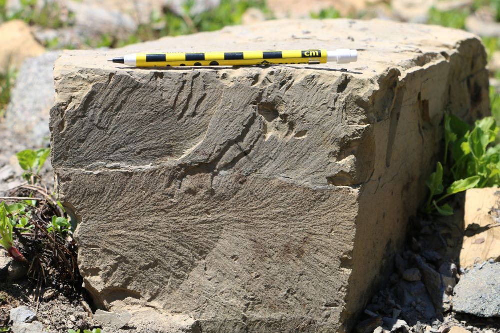 A rectangular block of rock with a scale pencil lying on top. The front face is obliquely lit, showing a feathery texture that starts at center left and branches out to the right.