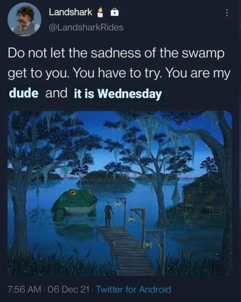Screenshot of a giant frog at the end of a pier, a guy stands before it. It’s captioned: do not let the sadness of the swamp get to you. You have to try. You are my dude and it is Wednesday 