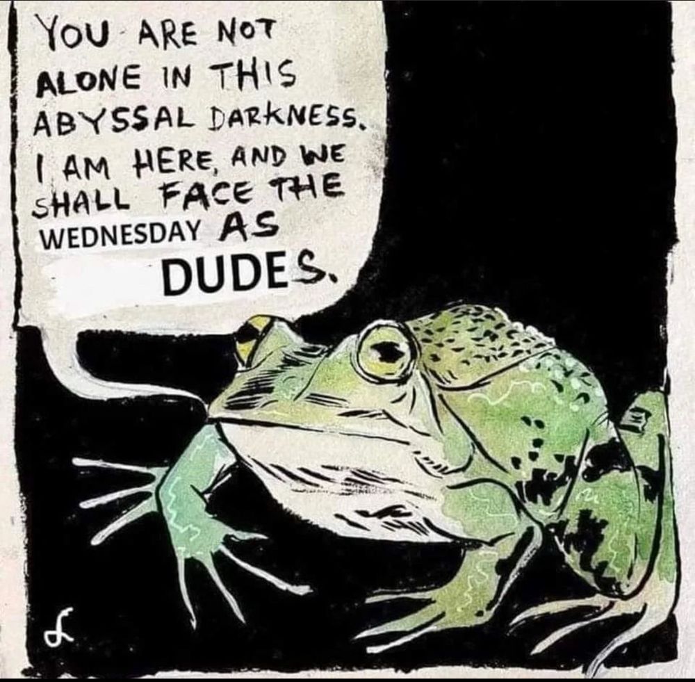 Comic of a frog w/ text bubble: you are not alone in this abyssa darkness. I am here and we shall face the Wednesday as dudes