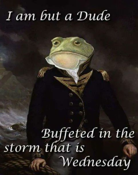 Forg in a military coat w/ text: I am but a dude buffeted in the storm that is Wednesday 