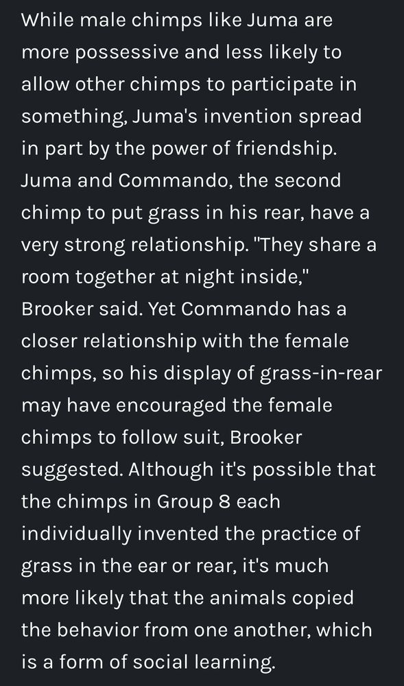 Screenshot from article: “While male chimps like Juma are more possessive and less likely to allow other chimps to participate in something, Juma's invention spread in part by the power of friendship.
Juma and Commando, the second chimp to put grass in his rear, have a very strong relationship. "They share a room together at night inside," Brooker said. Yet Commando has a closer relationship with the female chimps, so his display of grass-in-rear may have encouraged the female chimps to follow suit, Brooker suggested. Although it's possible that the chimps in Group 8 each
individually invented the practice of grass in the ear or rear, it's much more likely that the animals copied the behavior from one another, which is a form of social learning.”