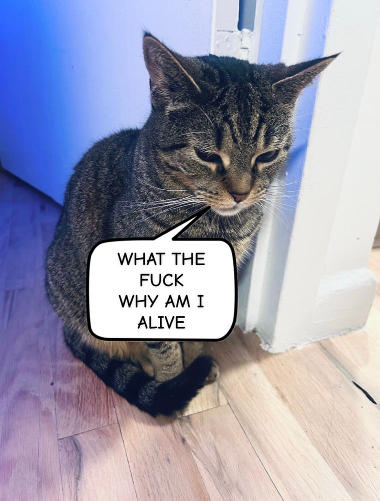 Comment image
