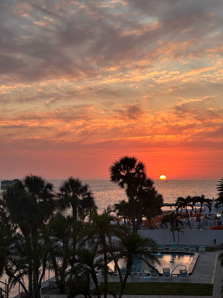 Sun dipping behind the ocean under and orange-pink sky. Palm trees and a swimming pool are in the foreground. Taken in Clearwater, FL. 