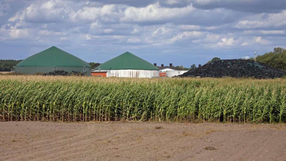 Biodiesel-Skandal gefährdet eine Industrie: Ein Unternehmen rutscht in die Insolvenz