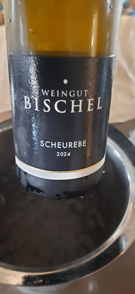 A bottle of white wine above a wine cooler