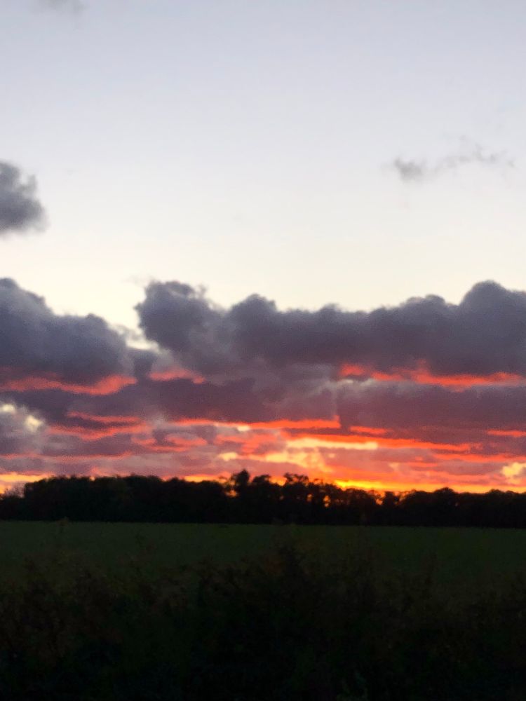 Windy but another pic of a beautiful sunset 🌝