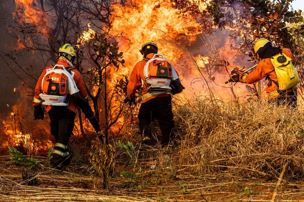 Número de bombeiros no DF é menor do que o exigido por lei; faltam mais de 3,7 mil militares